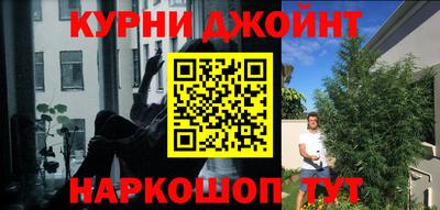 прущие грибы Канаш