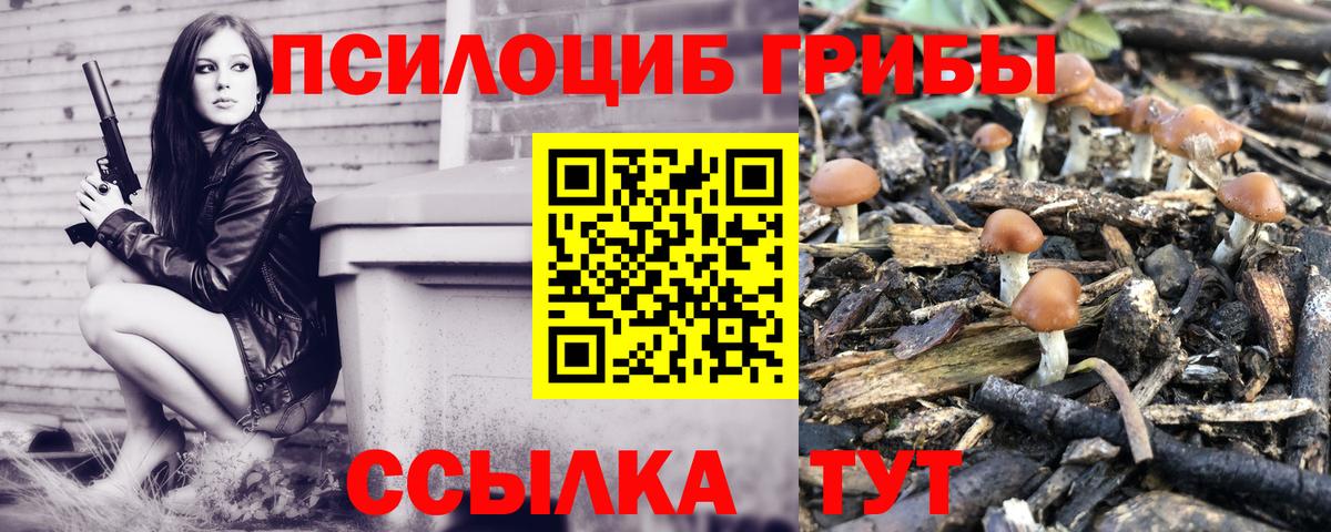Псилоцибиновые грибы Psilocybine cubensis  Вход с VPN  Галлюциногенные грибы мухоморы  Лесозаводск 